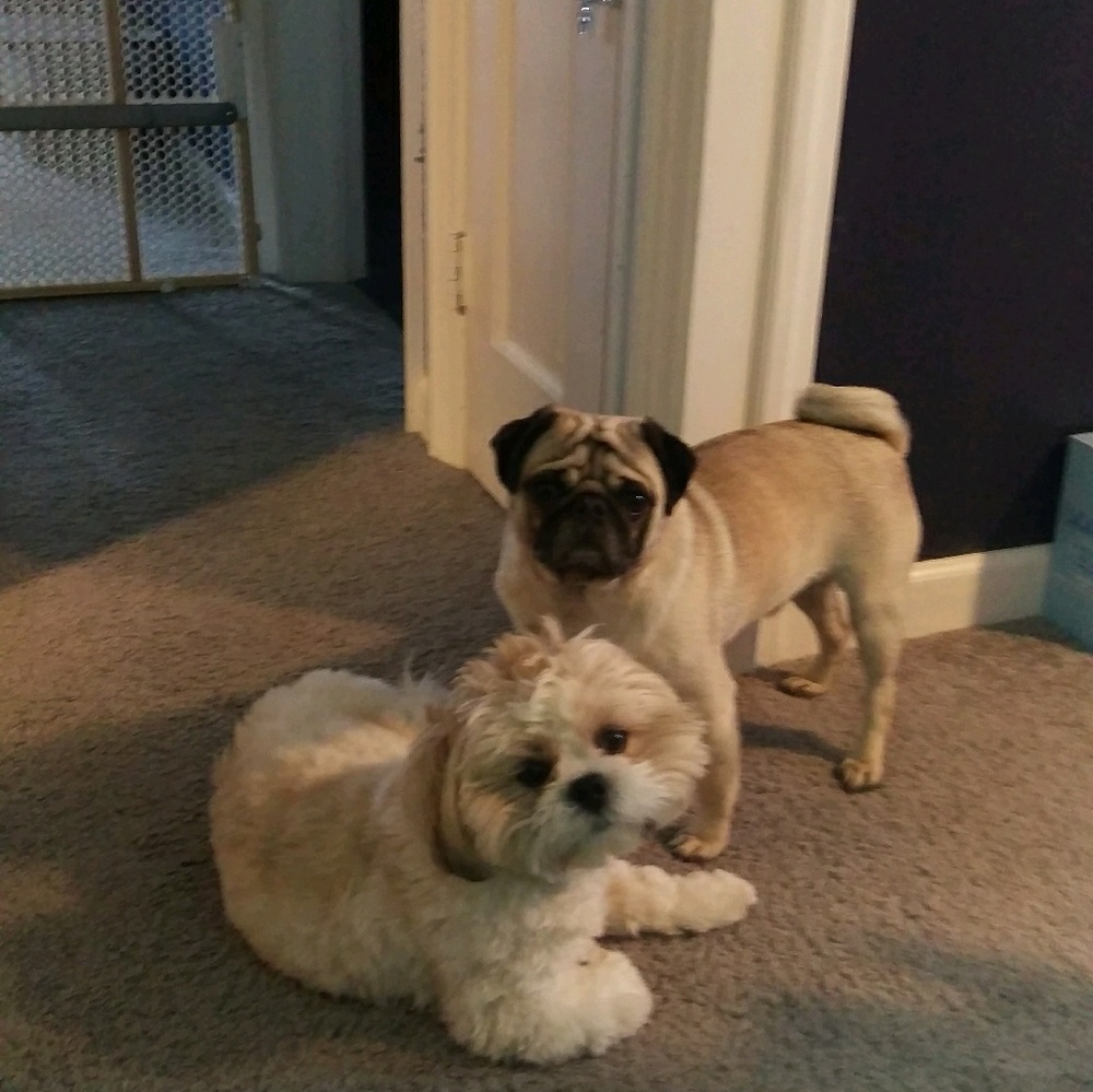 Meet your Posher, Katherine